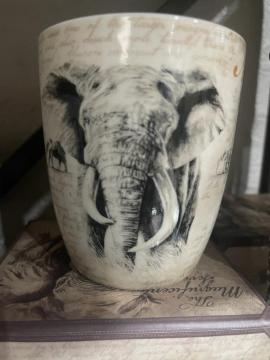 kambaku-river-lodge-gift-shop-images12