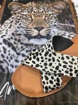 kambaku-river-lodge-gift-shop-images13