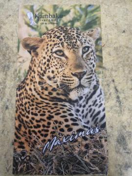 kambaku-river-lodge-gift-shop-images3