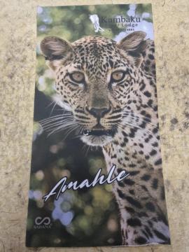 kambaku-river-lodge-gift-shop-images7
