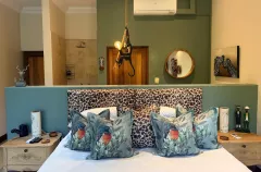 where-to-go-birding-in-south-africa