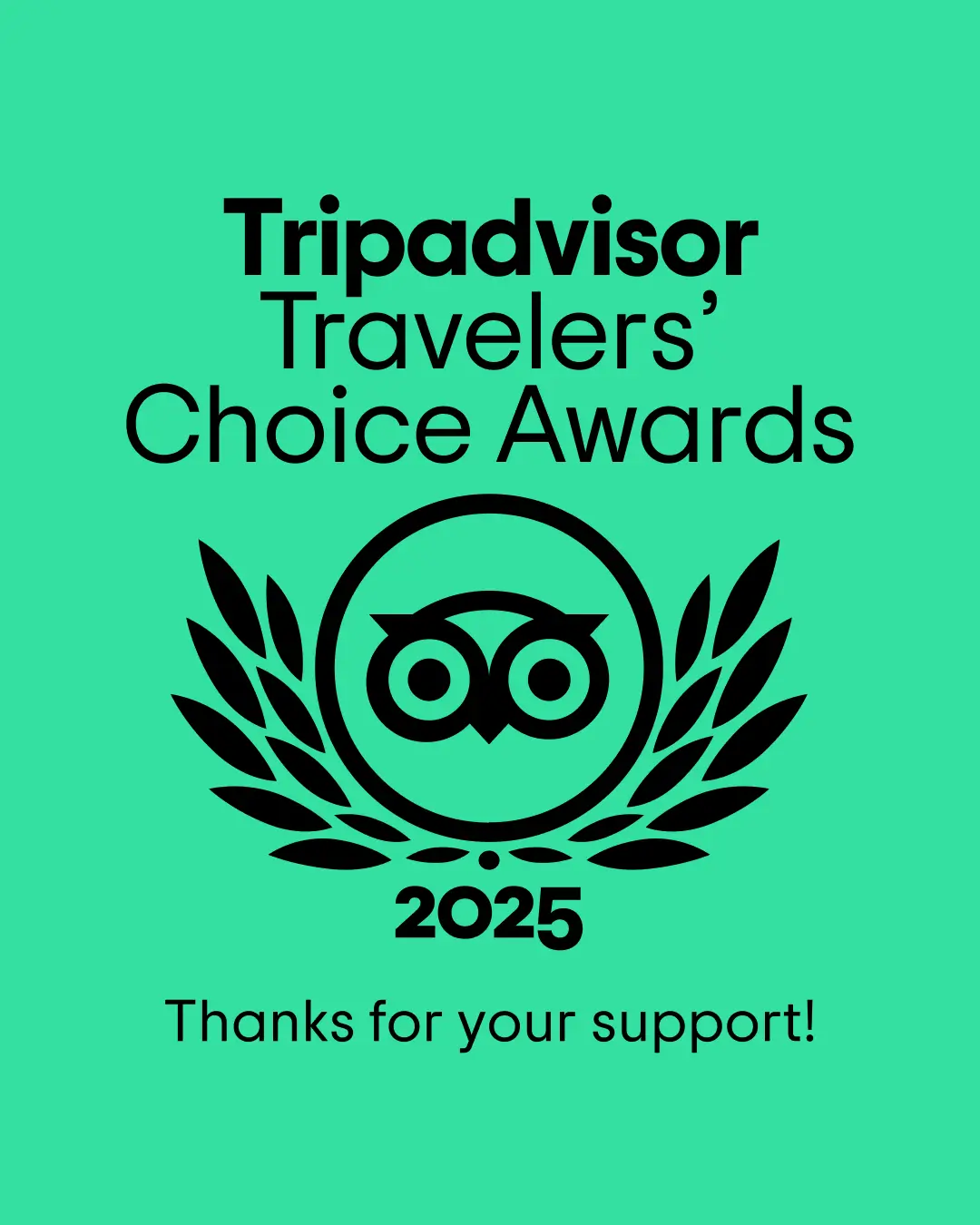 top 10 lodges kruger park tripadvisor